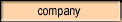 company background